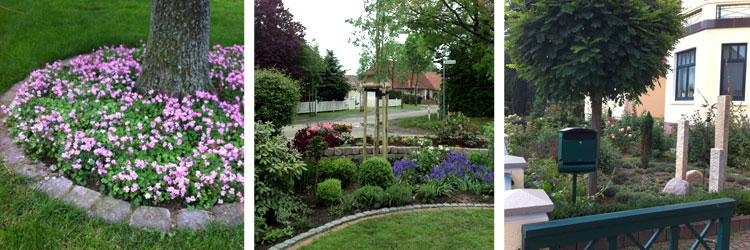 Pflanzen & Pflanzarbeiten | Leiding Garten- und Landschaftsbau